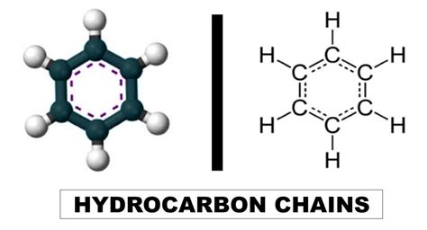 Comprehensive Review On Hydrocarbon – GenGuide