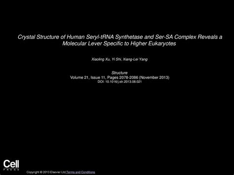 Crystal Structure Of Human Seryl Trna Synthetase And Ser Sa Complex