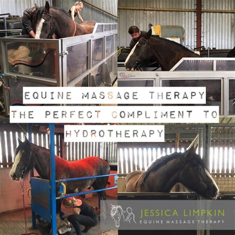 Equine Massage Therapy The Perfect Compliment To Hydrotherapy