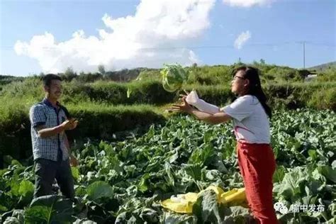 榆中縣上榜中國特色農產品優勢區名單 每日頭條