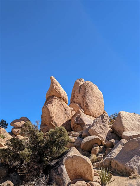 hidden valley nature trail joshua tree national park 7