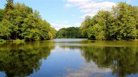 Sommerruhe Mühlenteich Uwe Weisel Flickr