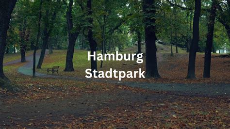 Regen Im Hamburger Stadtpark Zum Entspannten Einschlafen YouTube