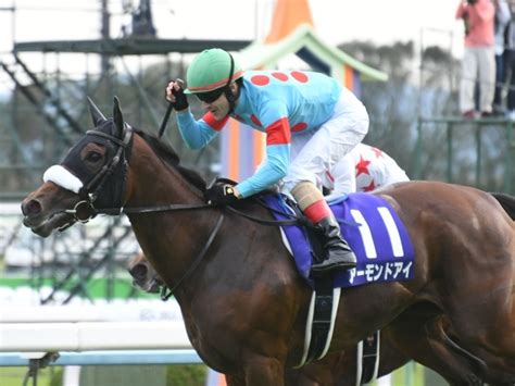 牝馬三冠レース歴代優勝馬一覧（桜花賞・オークス・秋華賞） 競馬まとめ