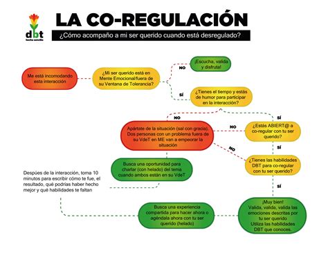 Co Regulaci N Dbt Hecha Sencilla Hotmart