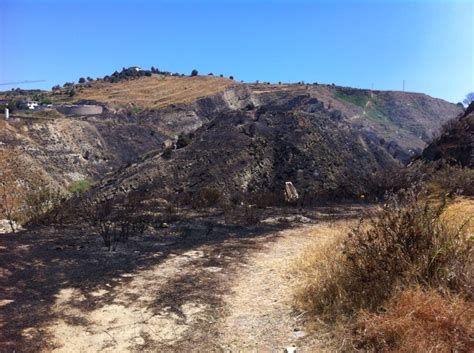 Reggio Maxi Incendio A Morloquio Le Immagini Del Disastro Dopo Una