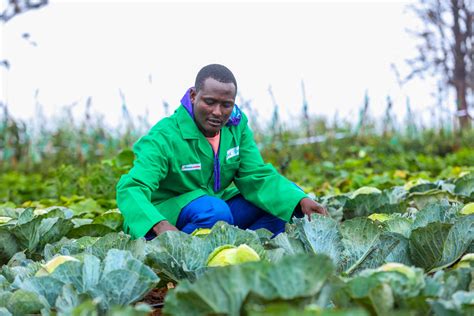 Safaricoms Wezesha Agri Programme Impacts Kajiado Farmers Business Now