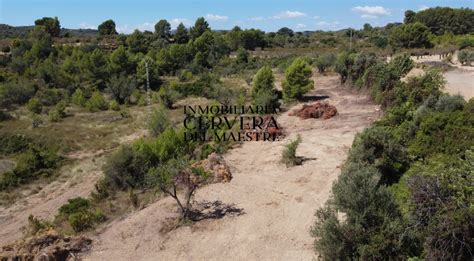 Excelente ubicación finca rústica para edificar Situada en Cervera del