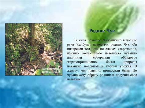 Родники, вы мои, родники - презентация онлайн