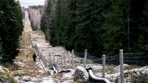 Finland begins construction of a wall on the border with Russia ...