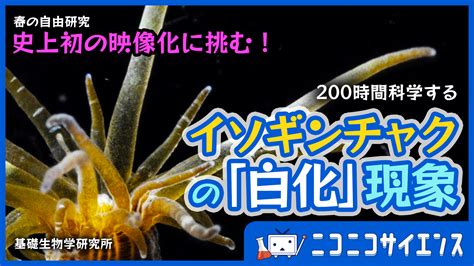 「ニコニコ超会議2022」3年ぶりの幕張メッセ開催決定！ネットとリアルが融合した新たな超会議に Appliv Games