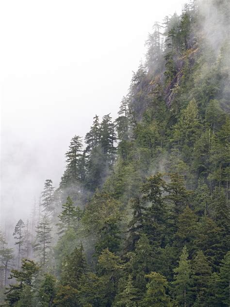 Foggy Mountain Free Stock CC0 Photo - StockSnap.io