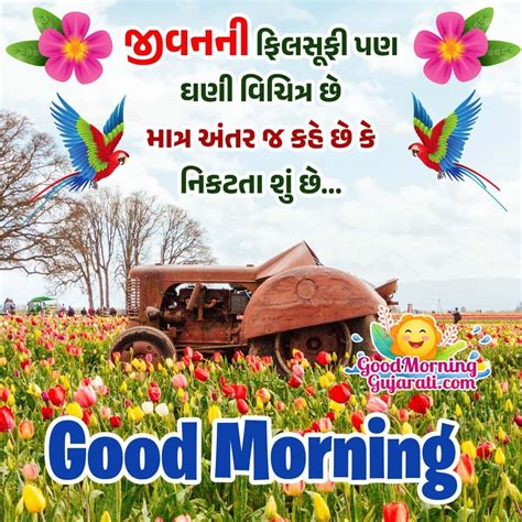 Good Morning Gujarati Thoughts Images Good Morning Wishes Images In