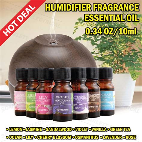 Humidifier Fragrance Essential Oil Aromatheraphy 10ml Air Freshening