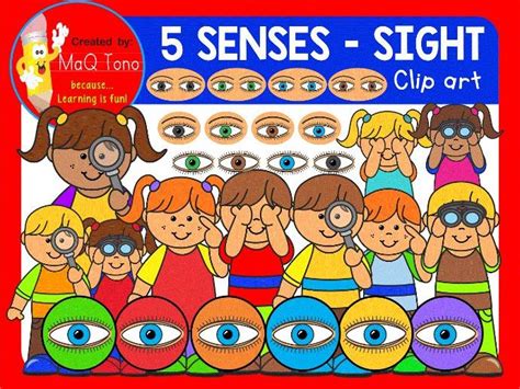 Five Senses Sight