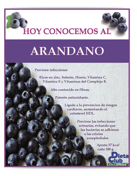 Propiedades De Los Arandanos Vidasana Comerbien Salud Alimentos