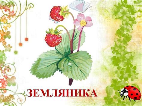 Лекарственные растения и травы картинки для изучения.
