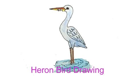 Easy Drawing Heron Bird How To Draw Carrot Step By Step For