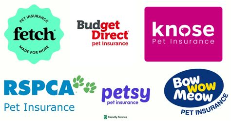 pet insurance australia  friendly finance