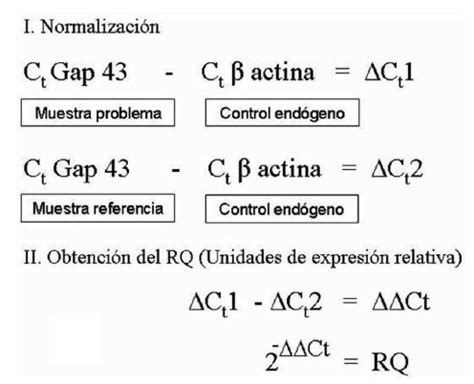 Sistema de cuantificaci ó n relativa utilizada para evaluar el nivel de