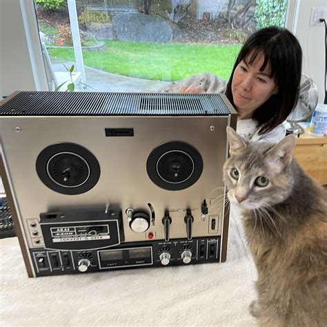 sophy wong on Twitter: "I’ve been down a new rabbit hole obsessing over