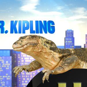 Mr. Kipling Ross (@MrKipling_NYC) | Twitter