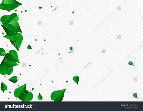 Lime Greens Tree Vector Transparent Background Stock Vector Royalty