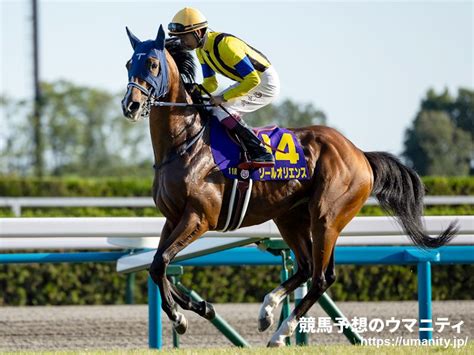 【中山記念】レース展望｜競馬ニュース｜競馬予想のウマニティ