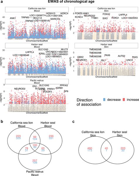 Epigenome Wide Association Study Ewas Of Chronological Age In Skin Or