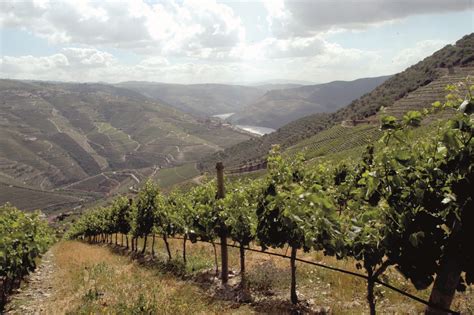 Régua - Pocinho - Régua - Portugal By Wine - Wine Tourism in Portugal