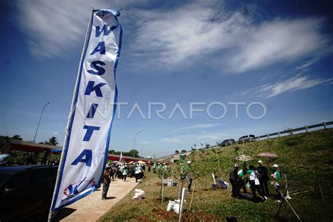 Hari Menanam Pohon Antara Foto