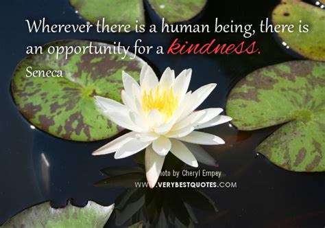 Human Kindness Quotes Quotesgram