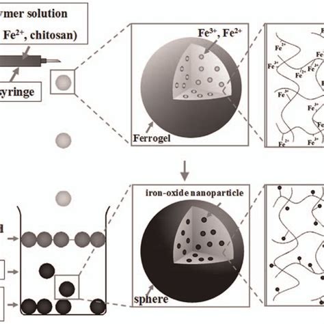 A An Optical Image Of The Iron Oxide Nanoparticles Loaded Chitosan Download Scientific