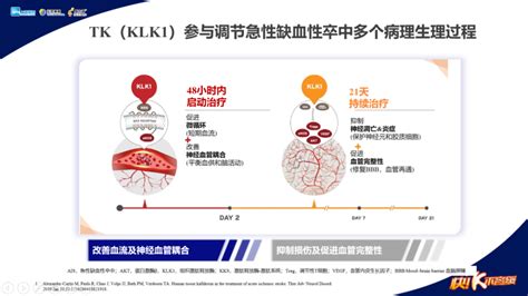 开辟医学新视野TK与缺血性卒中再认识丨第二十二次中国脑血管病大会 腾讯新闻