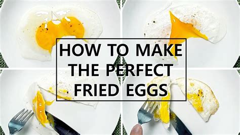 달걀 프라이의 다양한 종류 How To Make The Perfect Fried Eggs Youtube