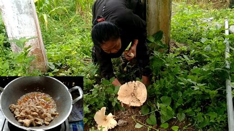 Baru Kali Ini Dpat Jamur Barat Super Besar Masak Oseng Jamur Barat