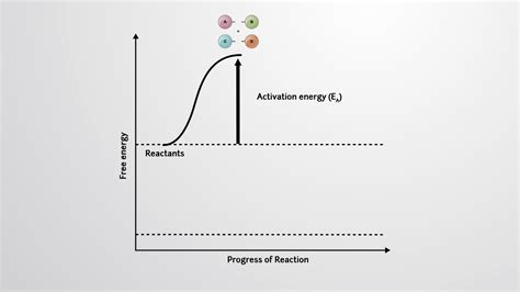 Activation Energy Transition State