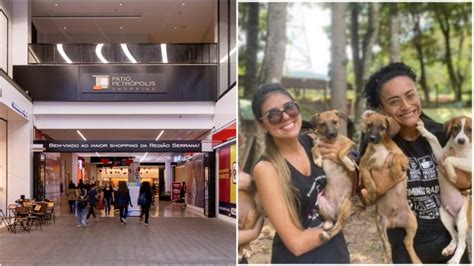 Pátio Petrópolis Shopping recebe feira de adoção de animais neste