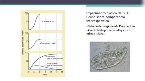 Competencia interespecífica PPT