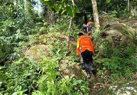 Cari Anjing Ke Hutan Warga Padang Dilaporkan Hilang Sumbarkitaid