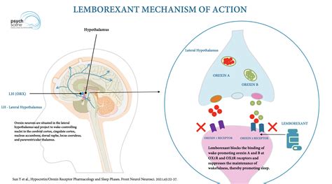 Lemborexant Psychopharmacology And Clinical Application