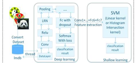 process   image processing  scientific diagram