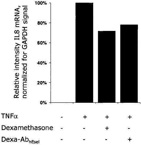 Northern Blot Analysis Of Il Gene Expression In Huvec Hybridization