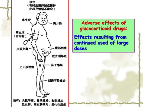 drugs  treatment  respiratory diseases powerpoint
