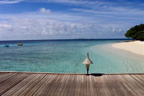 Maldives beach scene stock photo. Image of relaxation - 17703250