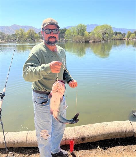 Hesperia Lake Fish Report - Hesperia, CA (San Bernardino County)