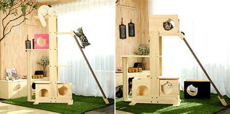 Incredible Cat Towers From Korea • Hauspanther Cat Towers Cat Jungle