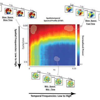 Schematic Breakdown Of Spatiotemporal Spectral Profile Stsp With