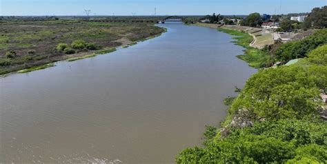 R O Salado En El Agua Y En Sedimentos Hallaron Plaguicidas Y Metales