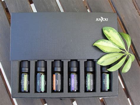 Anjou Aromatherapy Diffuser And Essential Oils Set